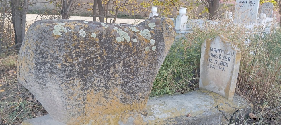 DİZELİ MEŞE ABBAS: (19. Yüzyıl Başlarında Iğdır’ın Sessiz Kahramanı)